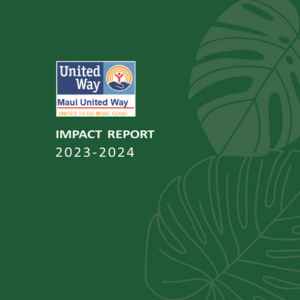 Impact Report 2023-2024