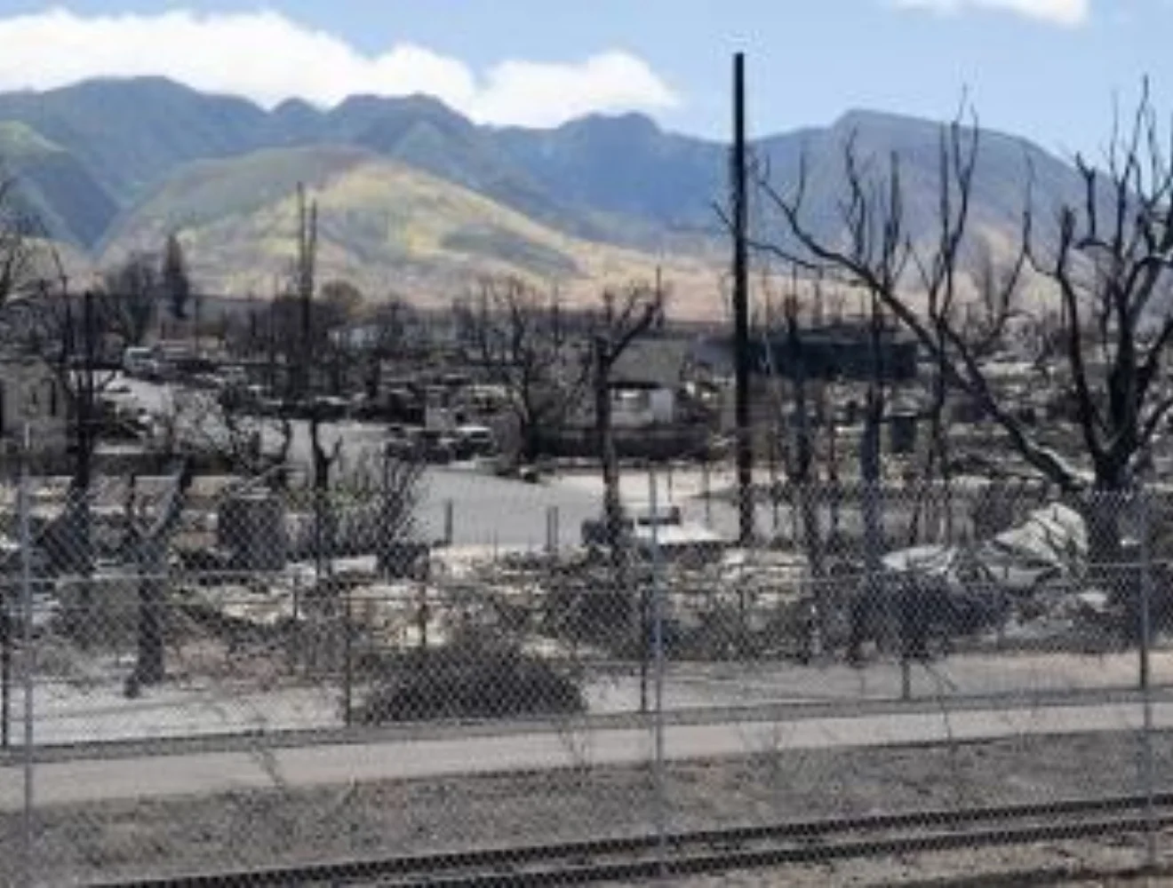 Aftermath of Maui fire