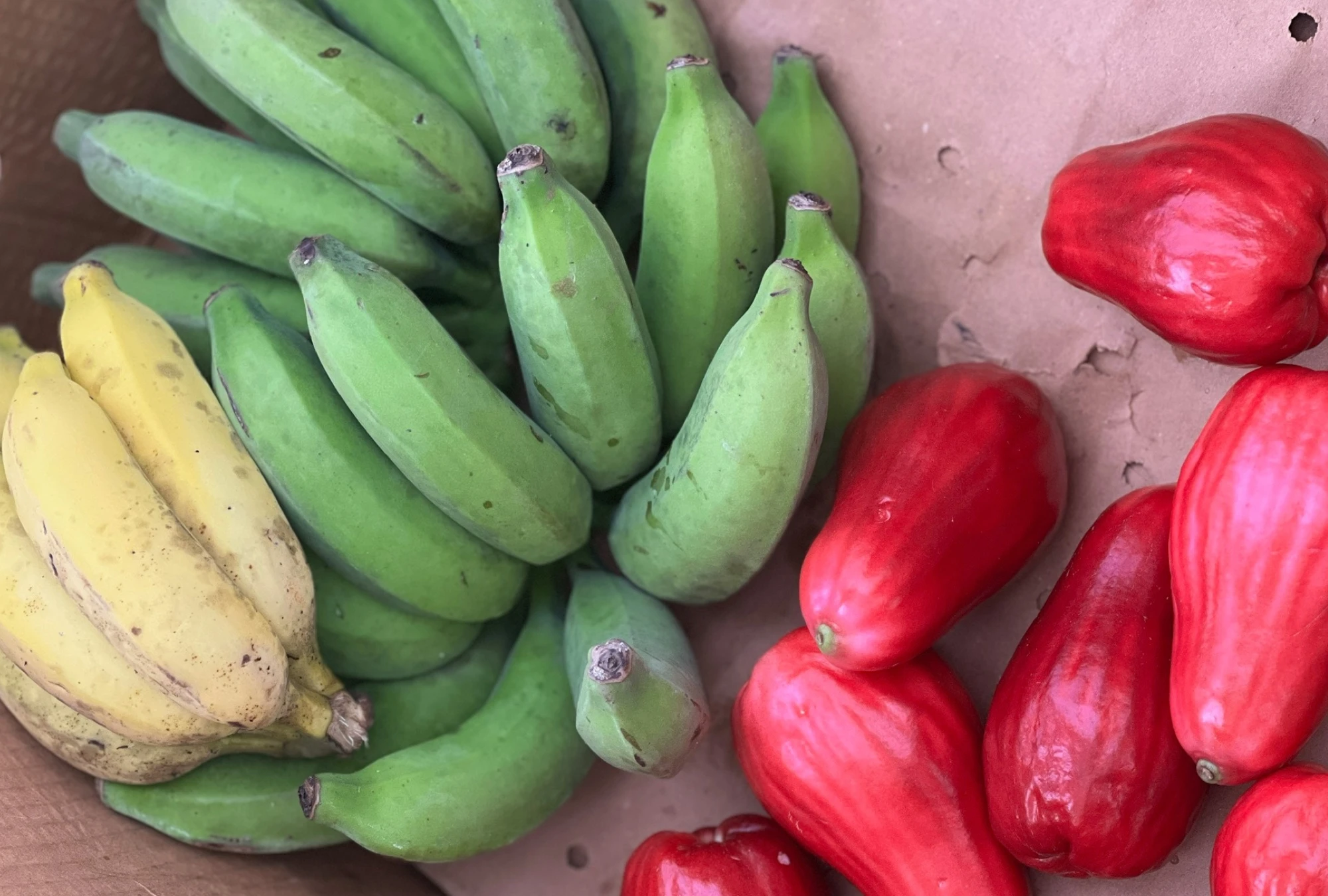 Banana bunches and red mountain apples