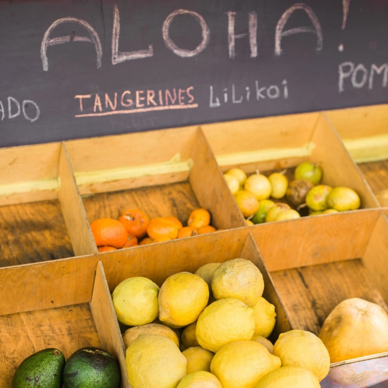 Variety of fruits at the farmers market.