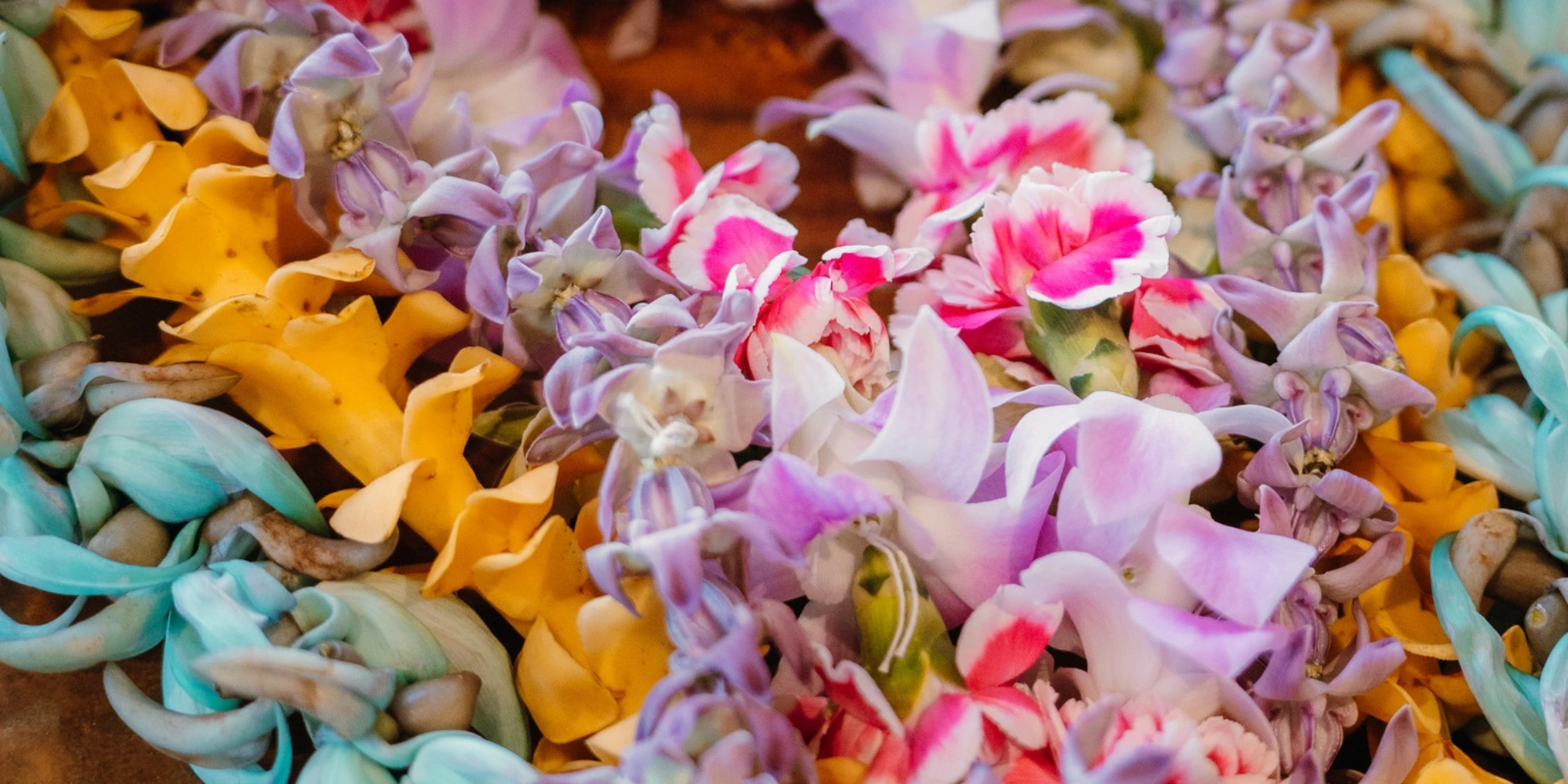 Colorful lei's