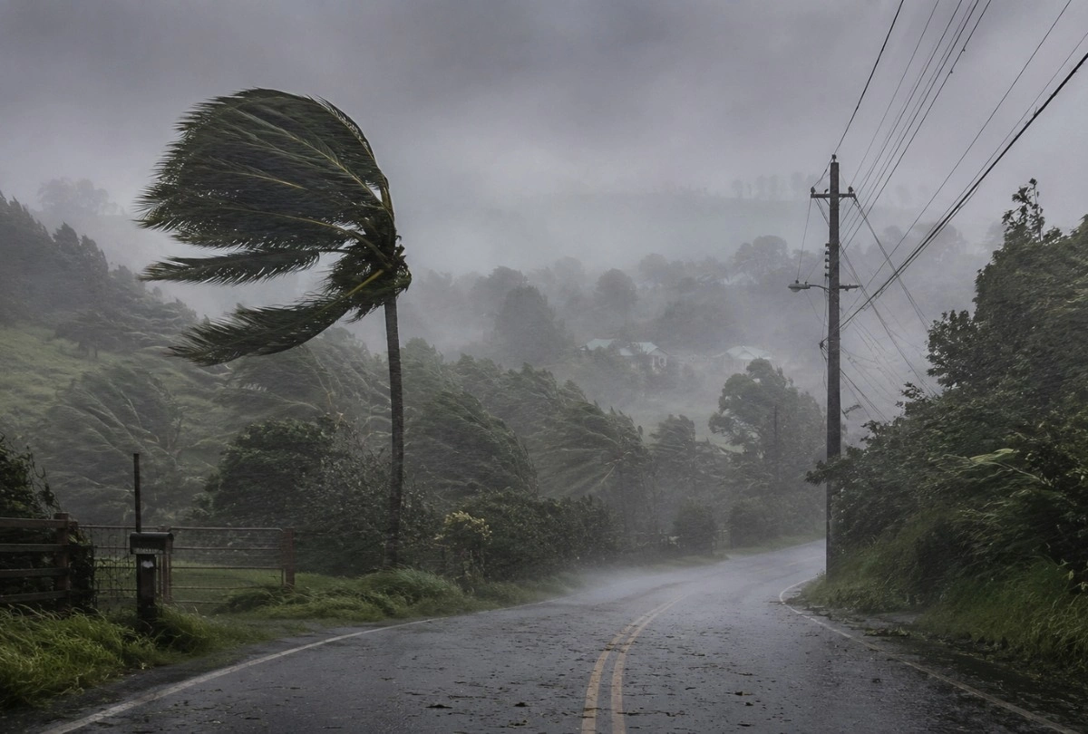 Maui Storm 2 Strong winds and heavy rain along a rural road during Maui storm.