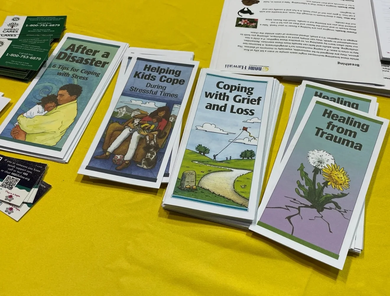 Mental health brochures