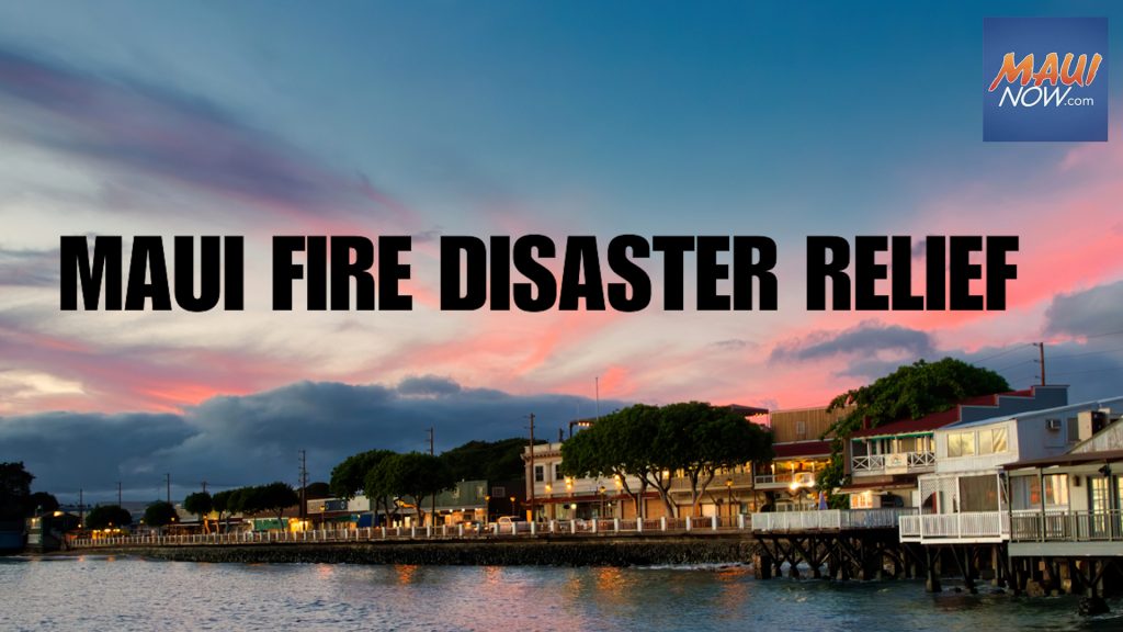 Maui Fire Disaster Relief